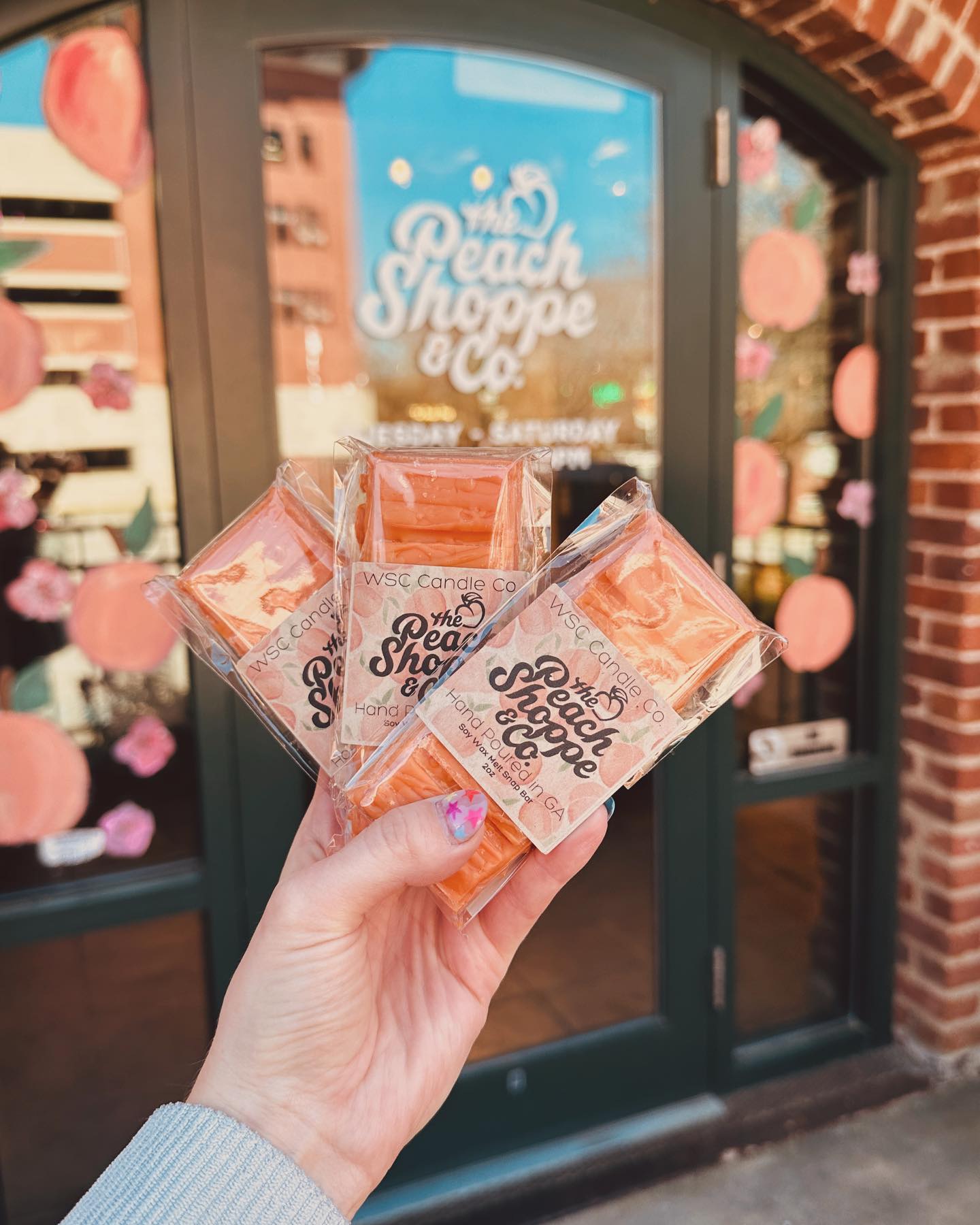 THE PEACH SHOPPE & CO MELT BARS *ONLY SOLD IN STORE*